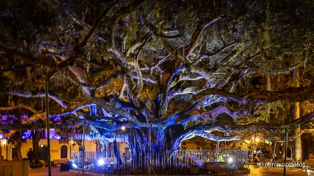 Cidades se vestem de azul na luta contra o câncer de intestino