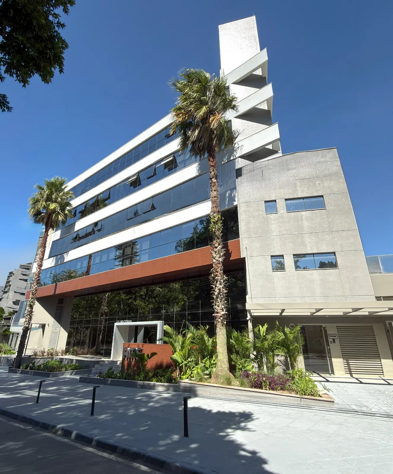 Com mercado de luxo em alta, AMS amplia operação e aposta em nova sede em Florianópolis