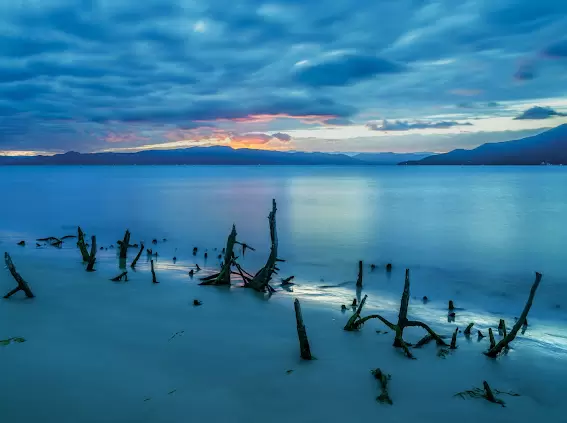 Fotografia, natureza e ambientalismo estão no livro “Expedição Natureza da Ilha”, de Zé Paiva