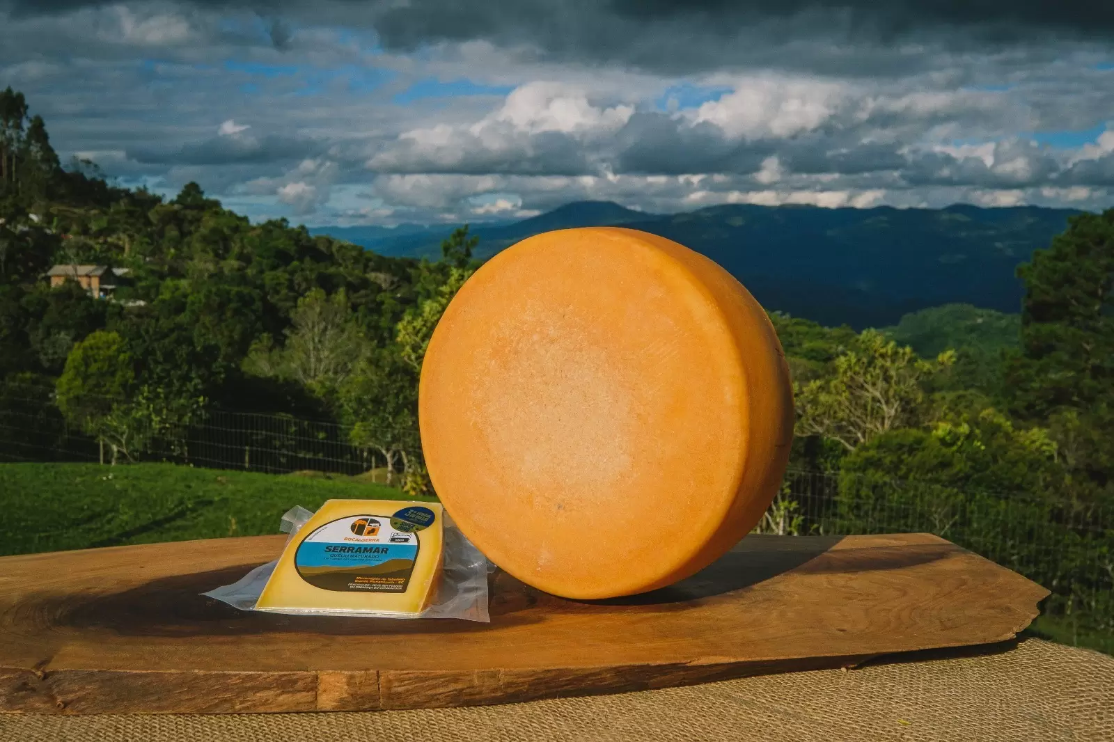 Queijaria Boca da Serra, da Grande Florianópolis, ganha medalha de prata no World Cheese Awards, na Suíça