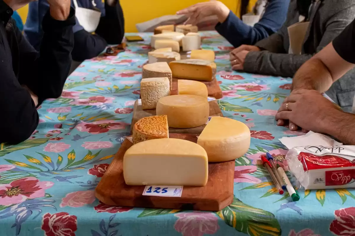 6ª edição do concurso Prêmio Queijo Brasil acontecerá entre os dias 7 e 9 de julho