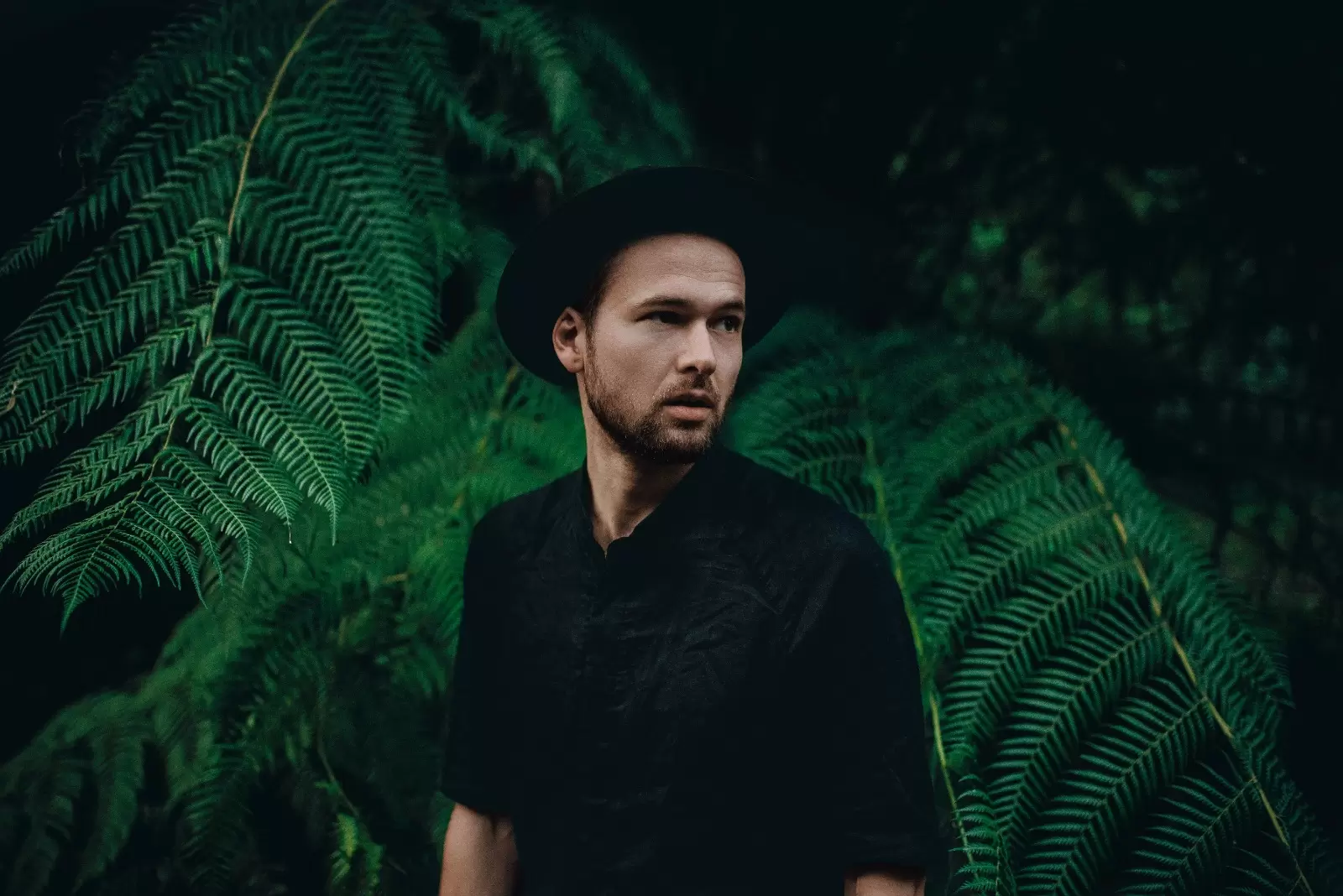 MONOLINK E STEPHAN BODZIN ESTREIAM NO SURREAL PARK EM 10 E 17 DE NOVEMBRO RESPECTIVAMENTE  