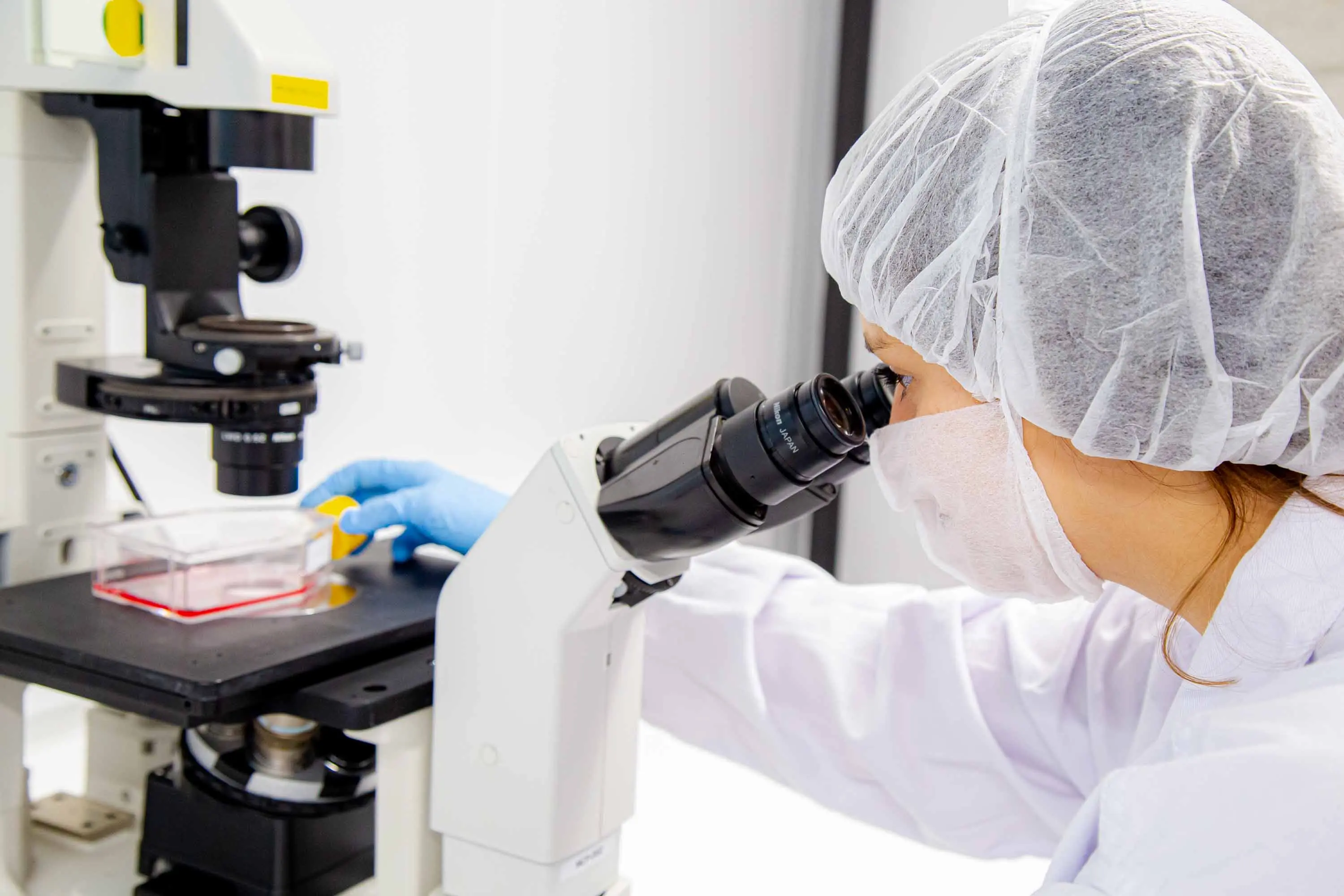 Avon desenvolve primeira pele bioimpressa em laboratório que reproduz efeitos da menopausa