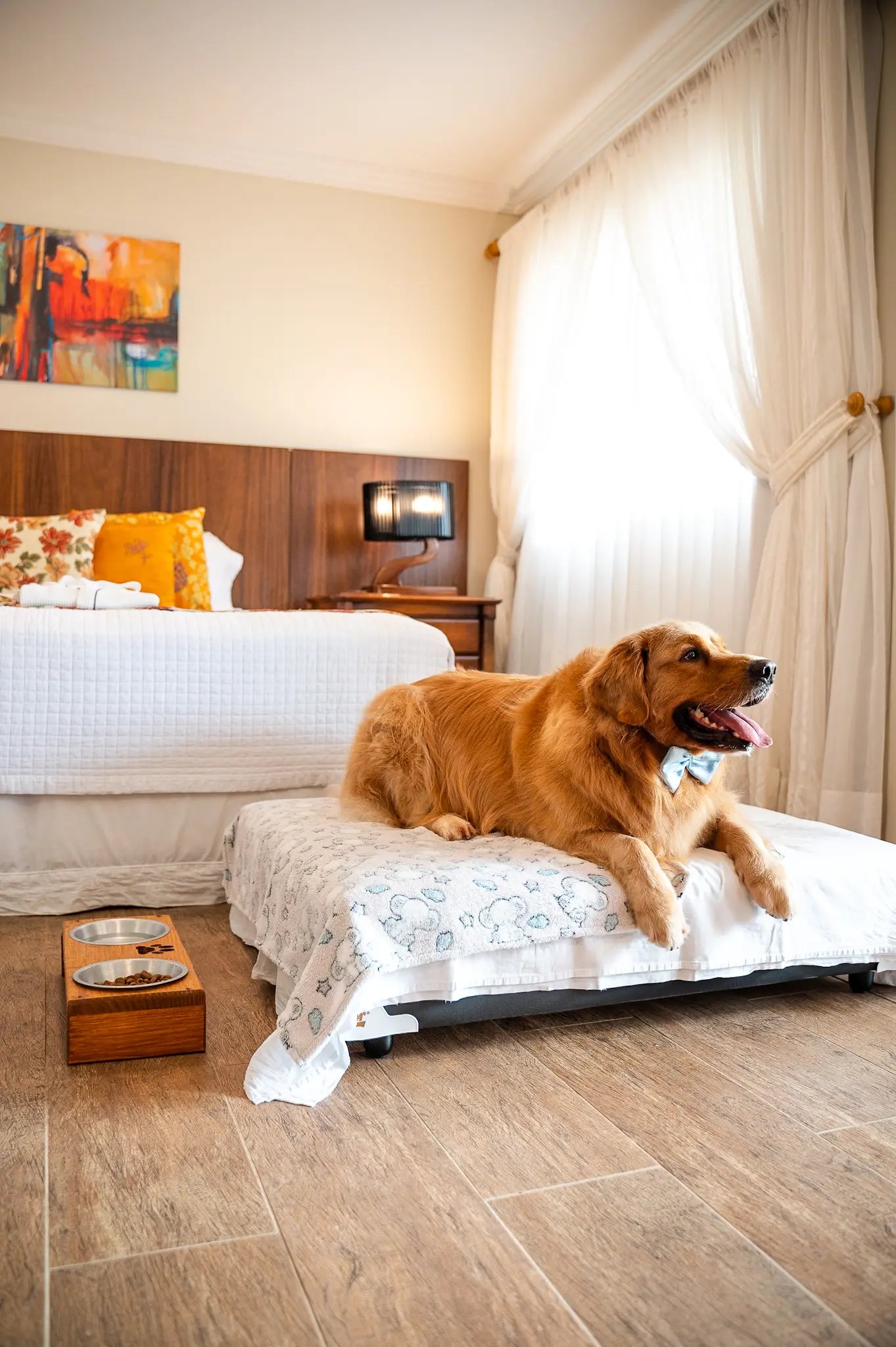 Seu pet também merece férias cinco estrelas — e a Estaleiro Guest House é o refúgio perfeito