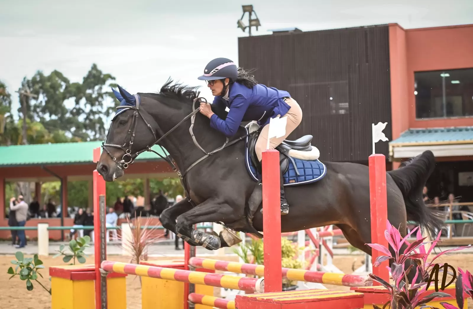 Francis Bernardo, uma mulher acostumada a vencer obstáculos