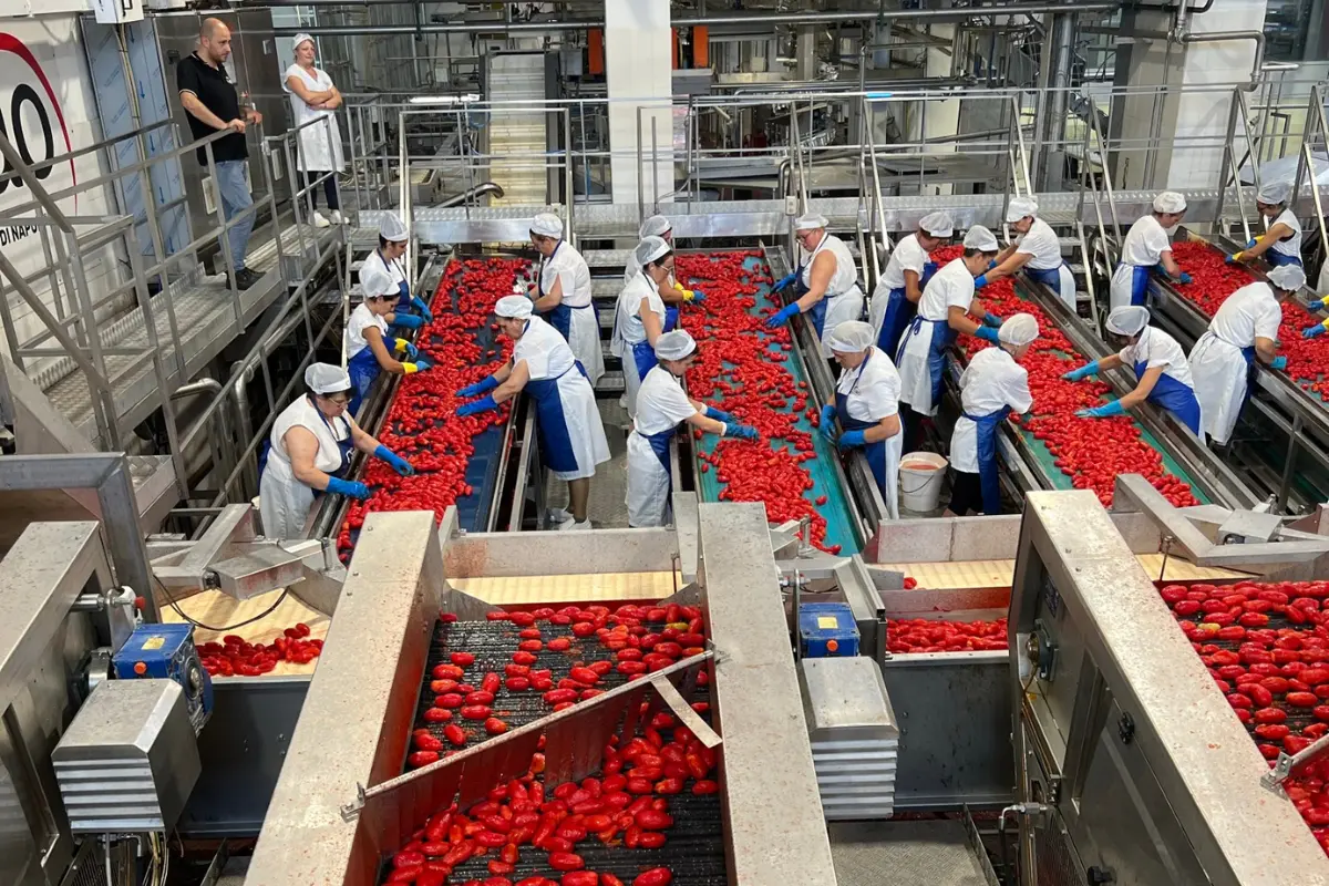 Painéis apresentam o case Meu Tomatì e o valor dos produtos de origem italiana, em Florianópolis