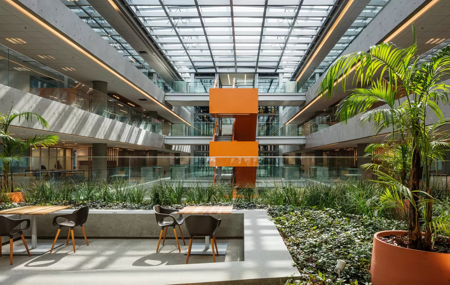 Natura Friday 2025 une consumo consciente  e impacto social 