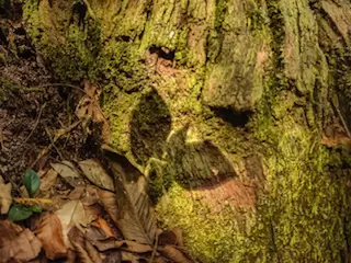 Atenção plena para fotografar momentos únicos