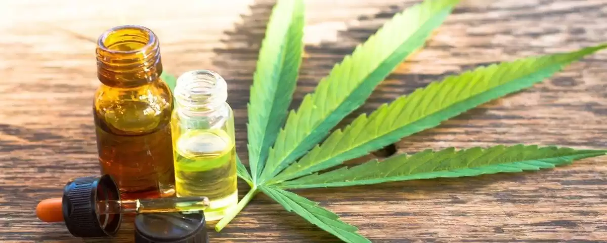 Cannabis medicinal pode ser eficaz no tratamento da epilepsia