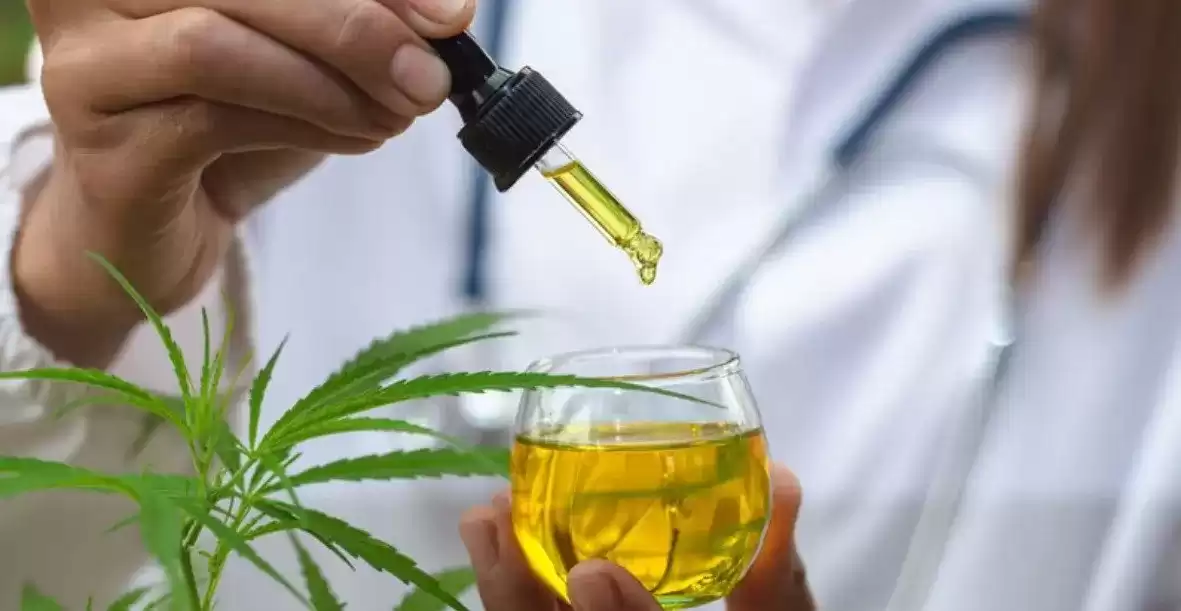 Cannabis promove avanços no tratamento de sintomas para autistas