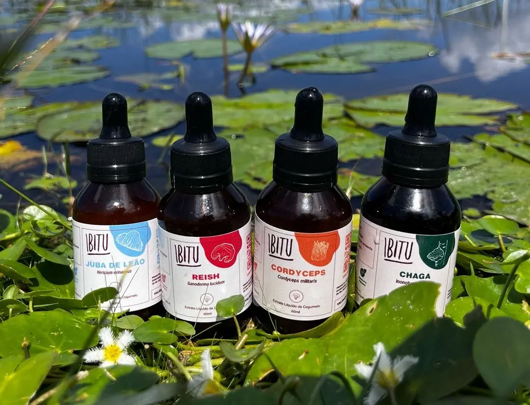 Ibitu aposta em extratos de cogumelos funcionais e amplia acesso a soluções naturais para saúde e bem-estar