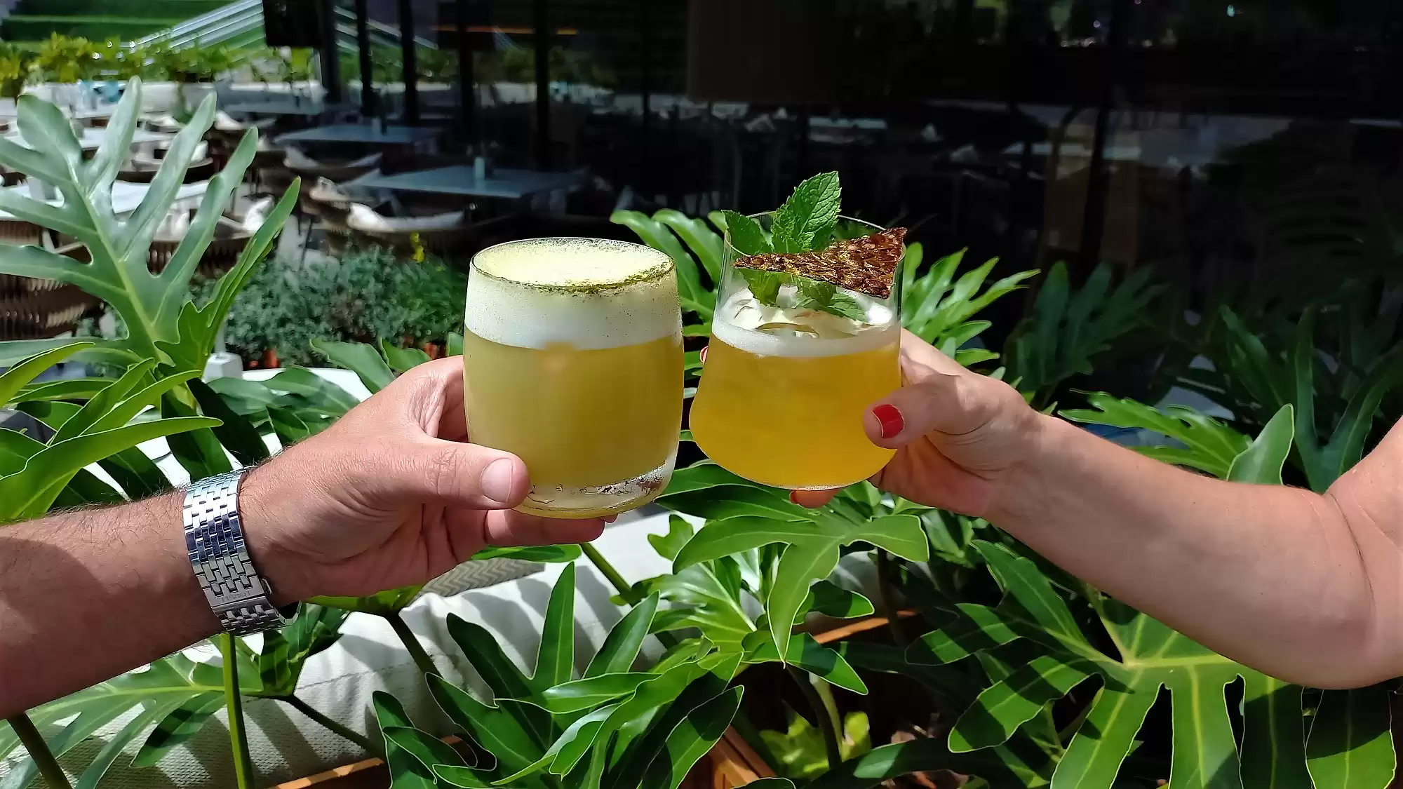 Restaurante de Florianópolis apresenta drink exclusivo com Jambu
