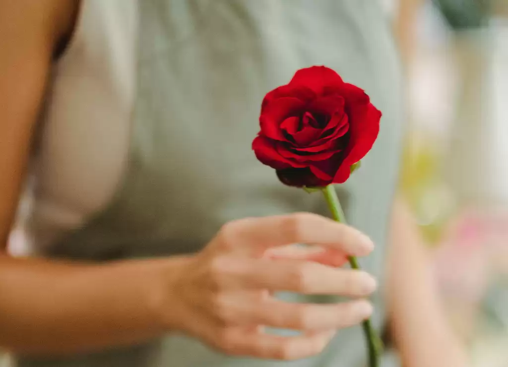 Especial fragrâncias femininas: descubra qual é o perfume ideal para cada personalidade